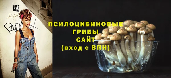 мдпв Белокуриха