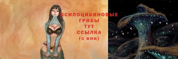мдпв Белокуриха