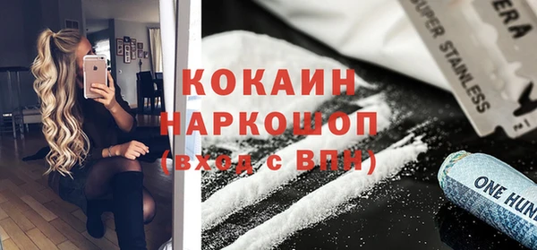 МДПВ Снежногорск