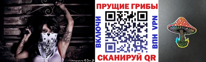 Галлюциногенные грибы MAGIC MUSHROOMS  hydra зеркало  Старица  как найти закладки 