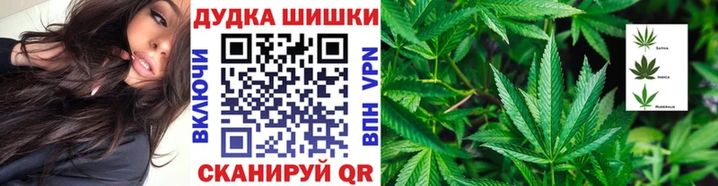 Бошки марихуана OG Kush  что такое   Старица 